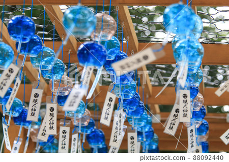 夏天的荒人神社 88092440