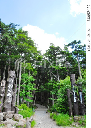 Sakuho Town, Nagano Prefecture Shirakoma no Ike entrance and summer sky Sakuho Town, Nagano Prefecture Shirakoma no Ike entrance and summer sky 88092452