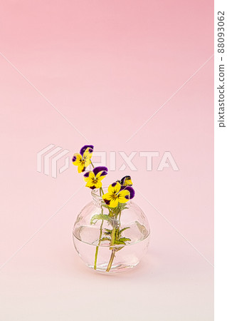 餐桌照片花 餐桌照片花 88093062