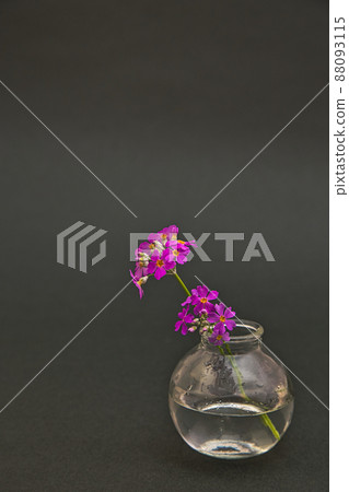 餐桌照片花 88093115