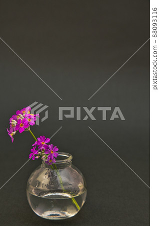 Table photo flower 88093116