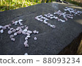 Fortune comes to a laughing gate 88093234