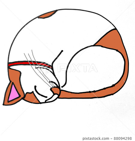 Sleeping cat 88094298