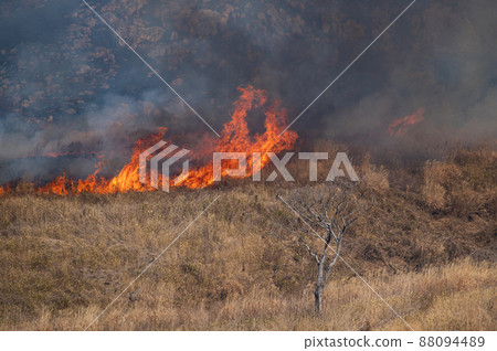 Hiraodai open burning (morning part) Hiraodai open burning (morning part) 88094489