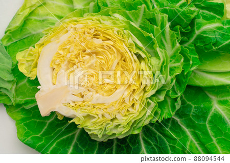 Fresh spring cabbage Fresh spring cabbage 88094544
