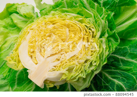 Fresh spring cabbage 88094545