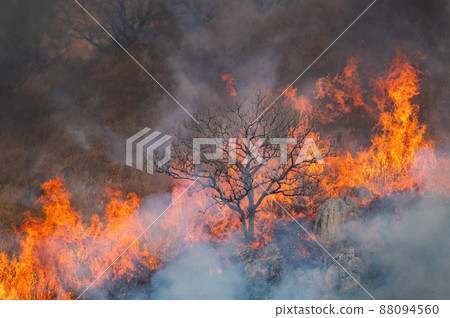 Hiraodai open burning (morning part) 88094560