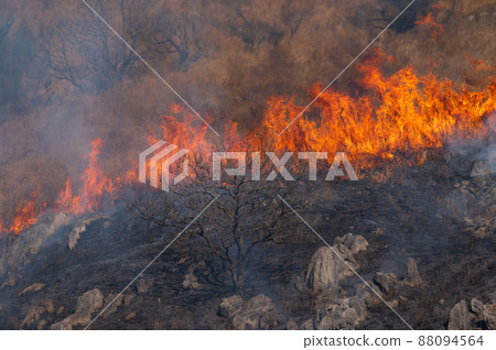 平尾台露天焚燒（上午部分） 88094564