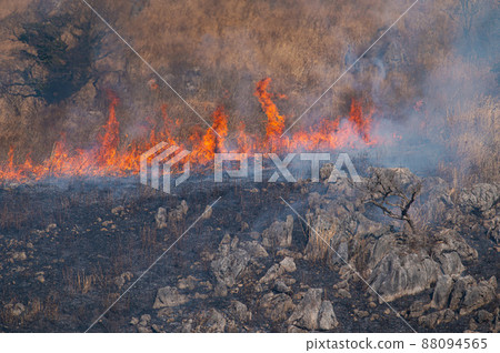 平尾台露天焚燒（上午部分） 88094565