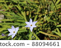 Hananira that opens to the full 88094661