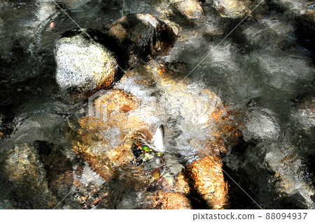 瑜伽川流，底石，阿馬戈 88094937