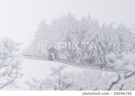 Daegwallyeong Spring Snow 88096298