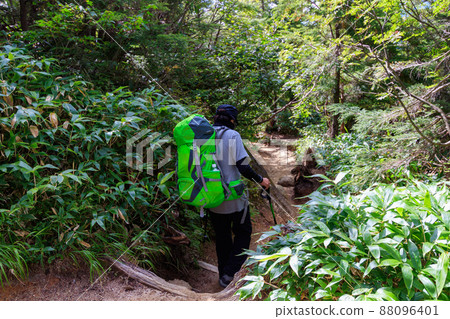 A man descending the mountain trail of the Tsubakuro Ridge Route A man descending the mountain trail of the Tsubakuro Ridge Route 88096401