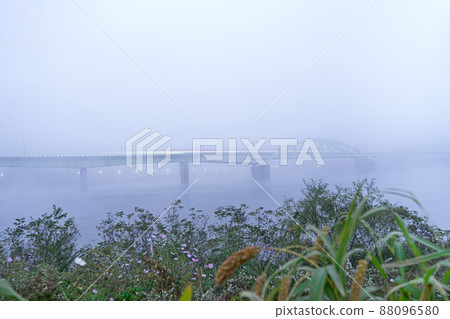 Jarathum Jarathum 88096580