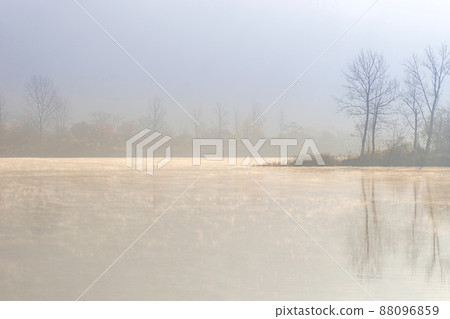Jarathum Jarathum 88096859