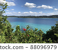 Amami Oshima sea and greenery 88096979