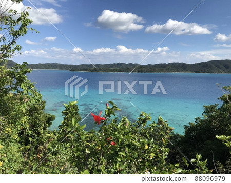 Amami Oshima sea and greenery 88096979