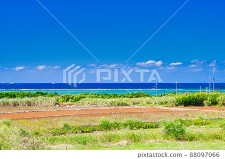 Idyllic scenery of Okinawa 88097066