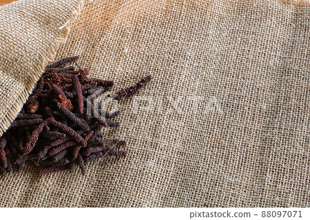 幹hihats和葉子。右下註釋,複製空間。 幹hihats和葉子。右下註釋,複製空間。 88097071