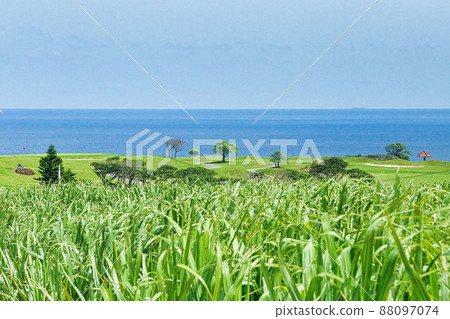 Okinawa fields and sea 88097074