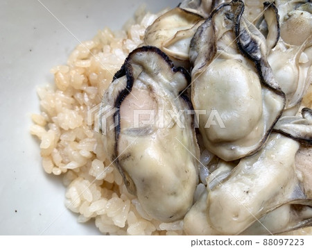 Oyster seasoned rice served in a white bowl Photo material Oyster seasoned rice served in a white bowl Photo material 88097223