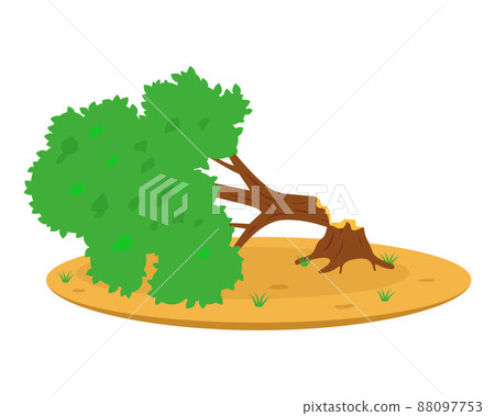 a tree felled by the hurricane blocks the road. a tree felled by the hurricane blocks the road. 88097753