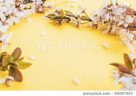 Sakura flower, spring blossom and April floral nature on pink background. Banner for 8 march, Happy Easter with place for text. Springtime concept. Top view. Flat lay. Sakura flower, spring blossom and April floral nature on pink background. Banner for 8 march, Happy Easter with place for text. Springtime concept. Top view. Flat lay. 88097893