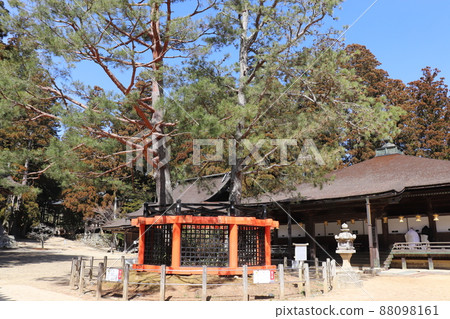 和歌山縣世界遺產高野山段上伽藍藍天中的三光松和禦影堂 88098161