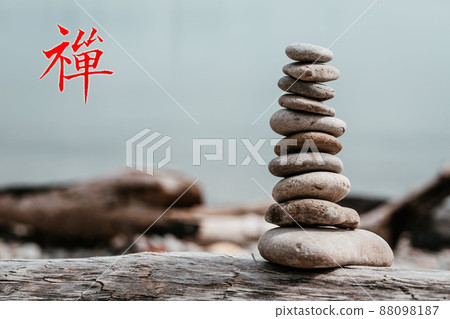 Zen 88098187