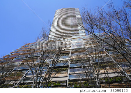 3月 豐島74 豐島區役所 3月 豐島74 豐島區役所 88099133