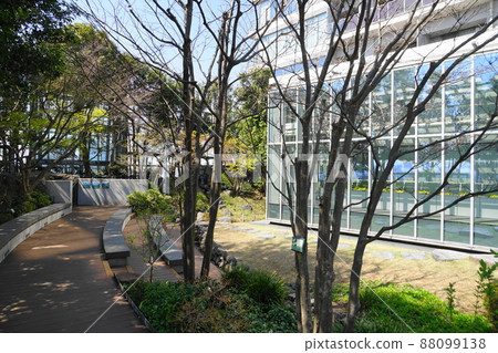 3月豐島79豐島森林/豐島區役所屋頂花園 88099138