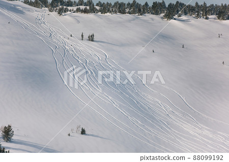 Snowy off-piste ski slope with traces of skis and snowboards on a winter day Snowy off-piste ski slope with traces of skis and snowboards on a winter day 88099192