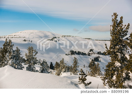 Snowy off-piste ski slope with traces of skis and snowboards on a winter day Snowy off-piste ski slope with traces of skis and snowboards on a winter day 88099196