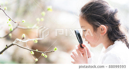 一個女孩用放大鏡觀察樹枝的新芽 一個女孩用放大鏡觀察樹枝的新芽 88099393