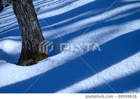 Severe winter world / snow mountain image 88099616