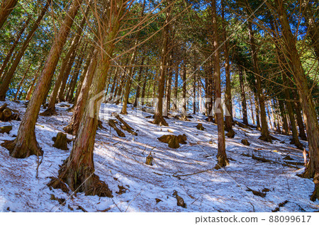 嚴冬世界/雪山形象 88099617