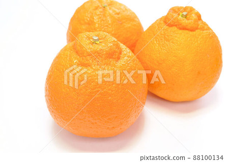 一般季節 88100134