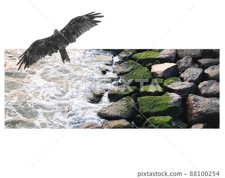 The sea, birds and white space The sea, birds and white space 88100254