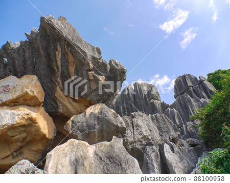 Yunnan, China World Heritage Stone Forest 88100958