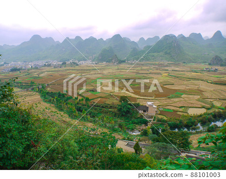 中國貴州省滿峰森林的壯麗景色 88101003