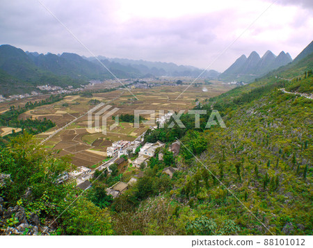 中國貴州省滿峰森林的壯麗景色 88101012