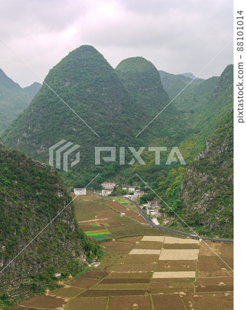 中國貴州省滿峰森林的壯麗景色 88101014