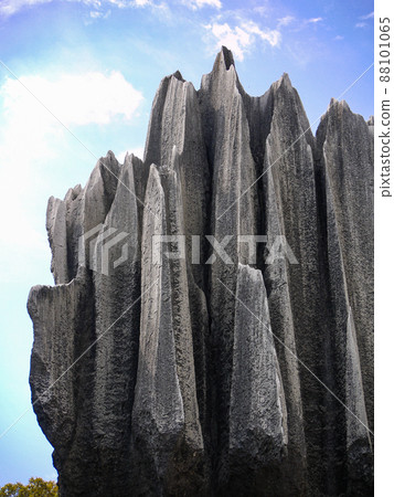 中國雲南世界遺產石林 中國雲南世界遺產石林 88101065