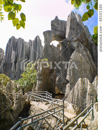 Yunnan, China World Heritage Stone Forest 88101160