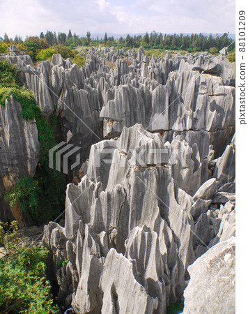 Yunnan, China World Heritage Stone Forest Yunnan, China World Heritage Stone Forest 88101209
