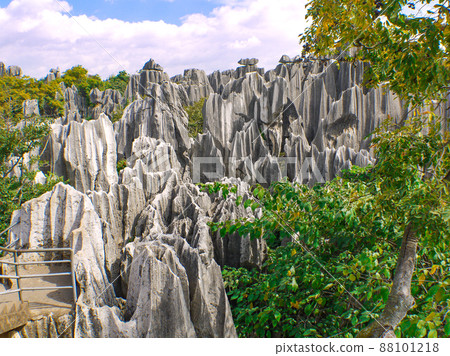 Yunnan, China World Heritage Stone Forest Yunnan, China World Heritage Stone Forest 88101218