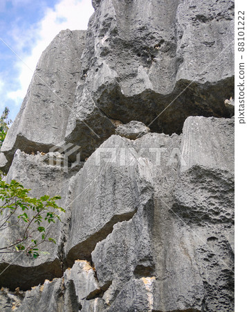 Yunnan, China World Heritage Stone Forest 88101222