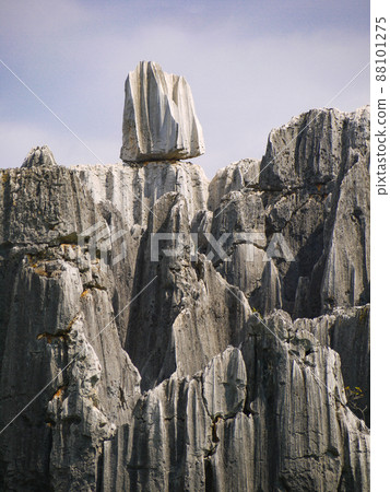 Yunnan, China World Heritage Stone Forest 88101275
