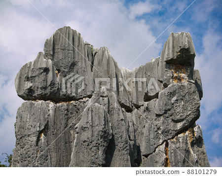 中國雲南世界遺產石林 88101279
