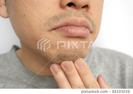 日本男茬 88103038